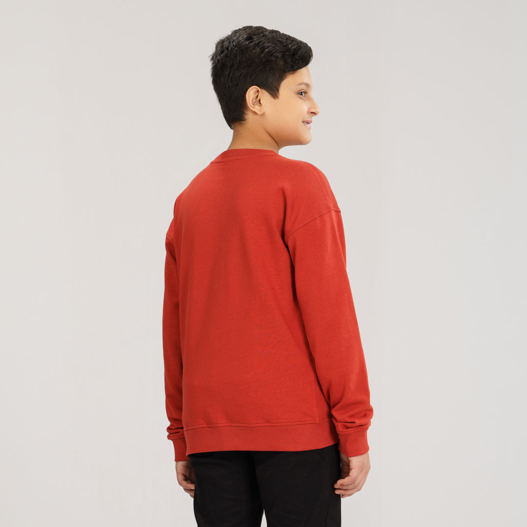 Boys Brown Sweatshirt