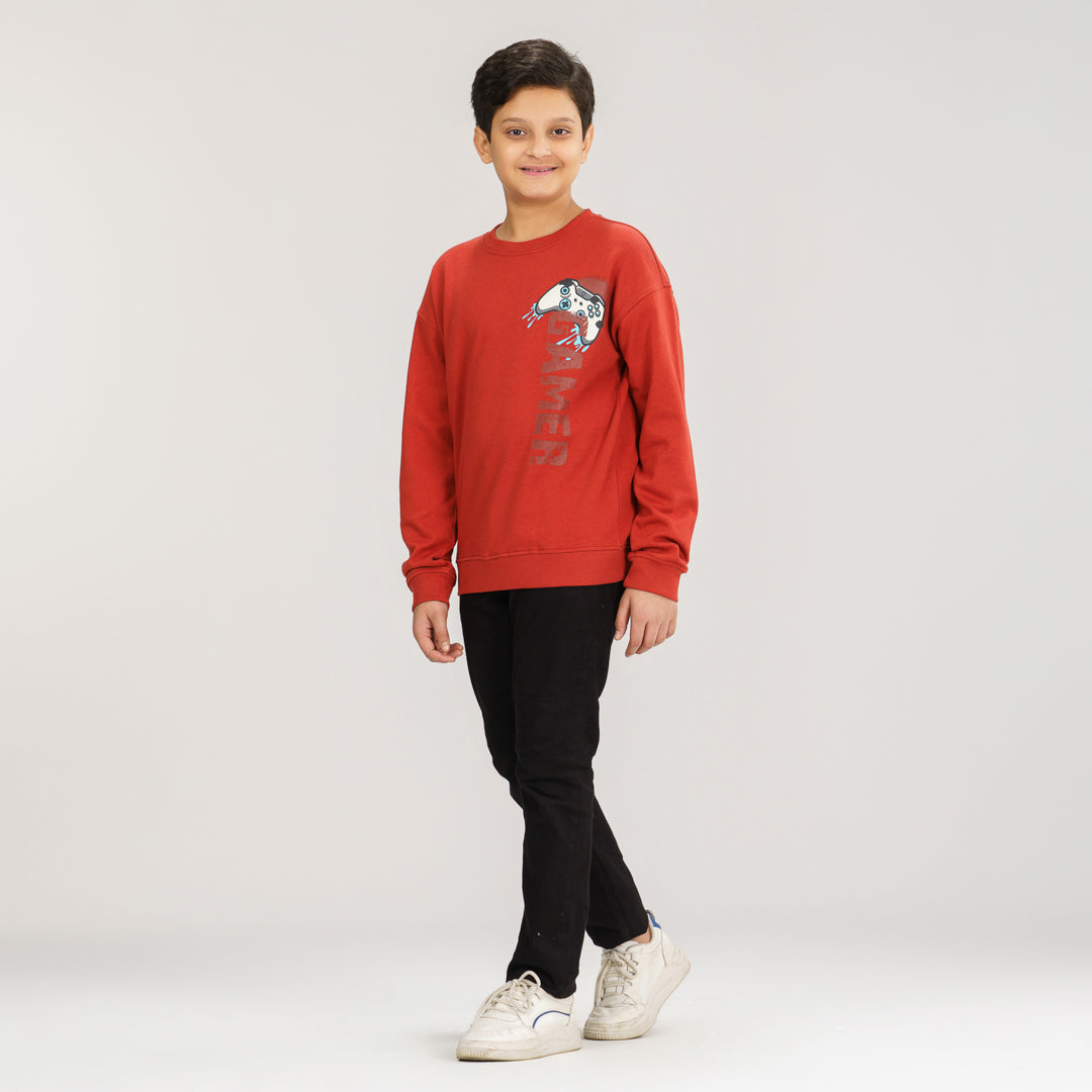 Boys Brown Sweatshirt