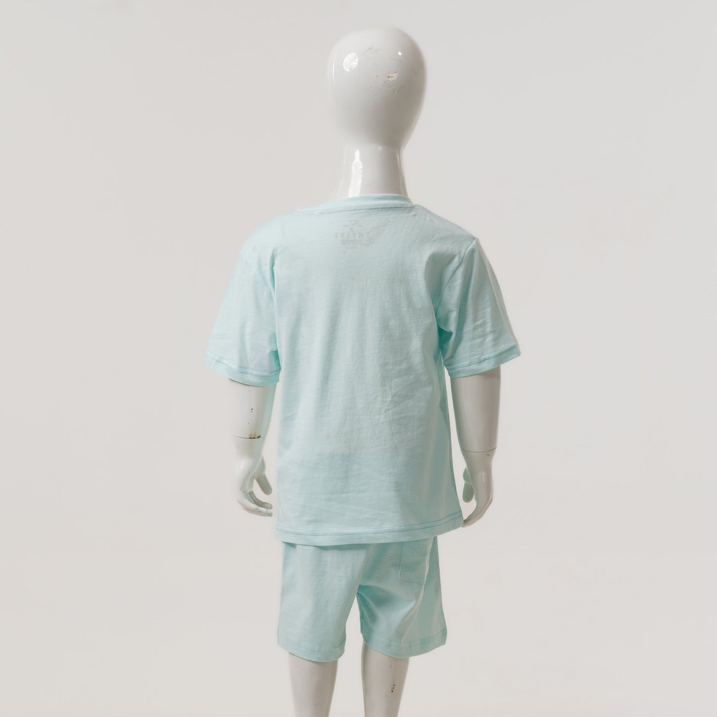 Baby Boys T-shirt & Pant Set