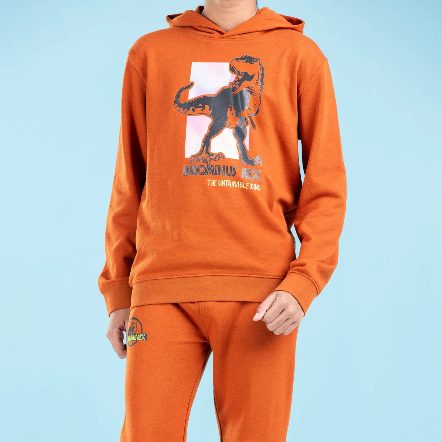 BOYS HOODIE- BROWN