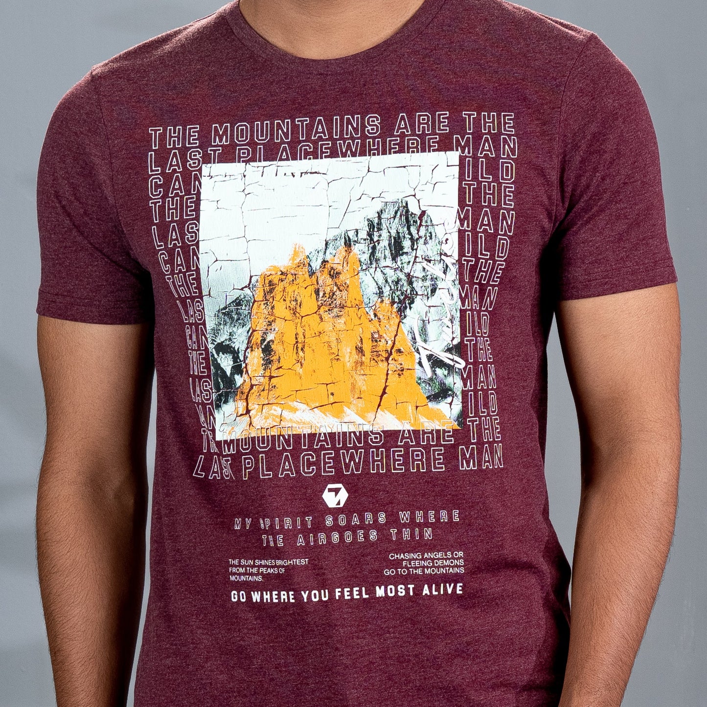 Men's Bordeaux Melange T-Shirt