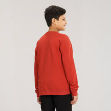 Load image into Gallery viewer, Boy&#39;s Brown Sweatshirt
