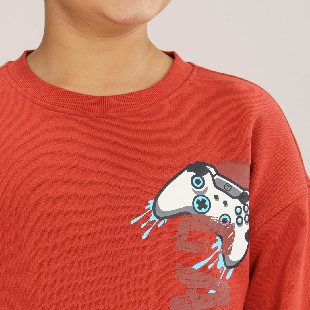 Boys Brown Sweatshirt