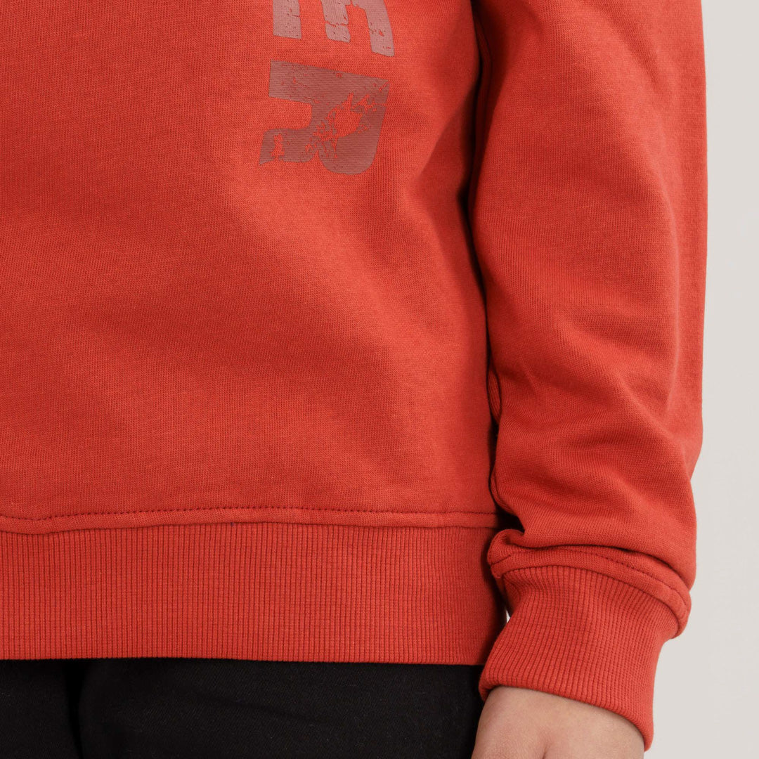 Boys Brown Sweatshirt