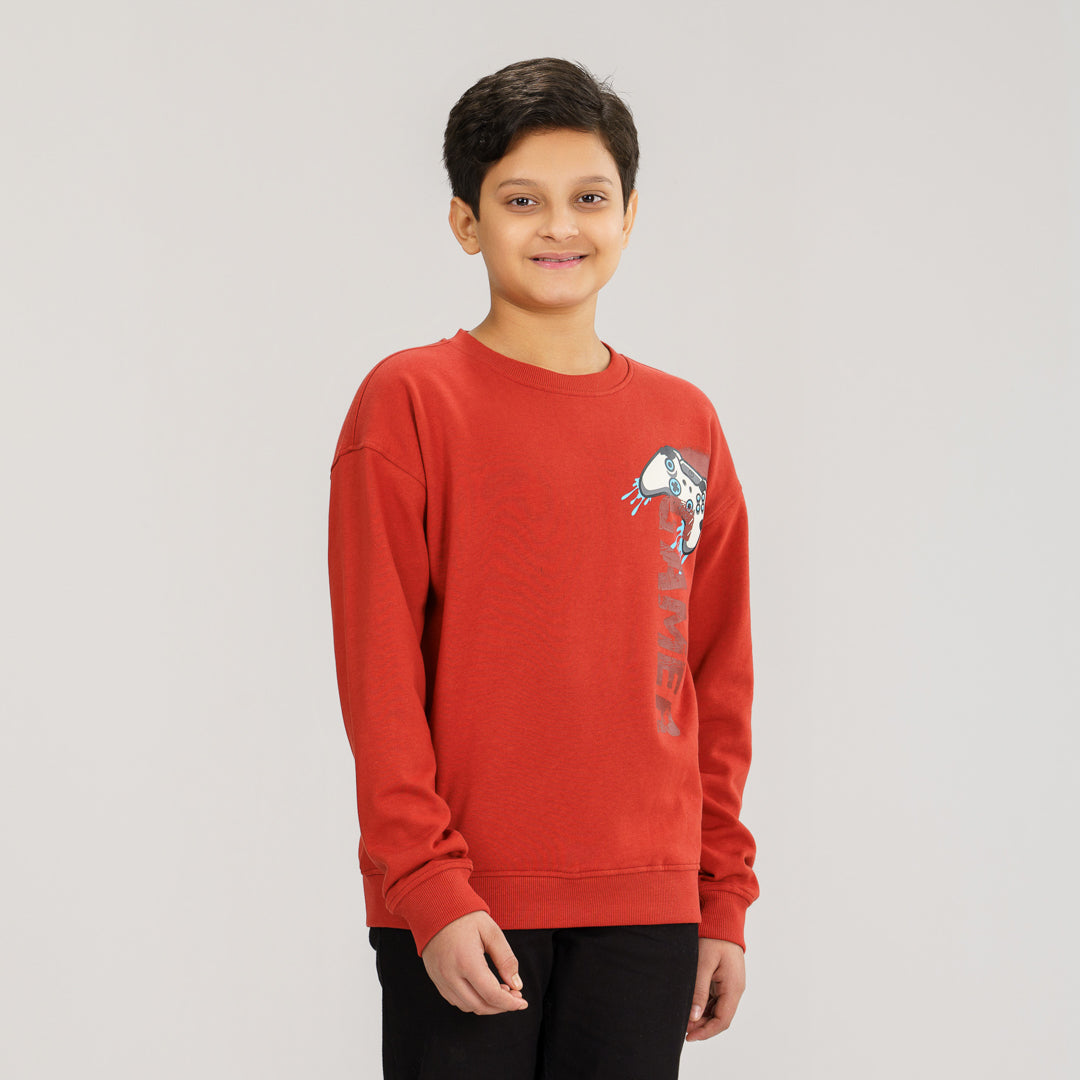 Boys Brown Sweatshirt