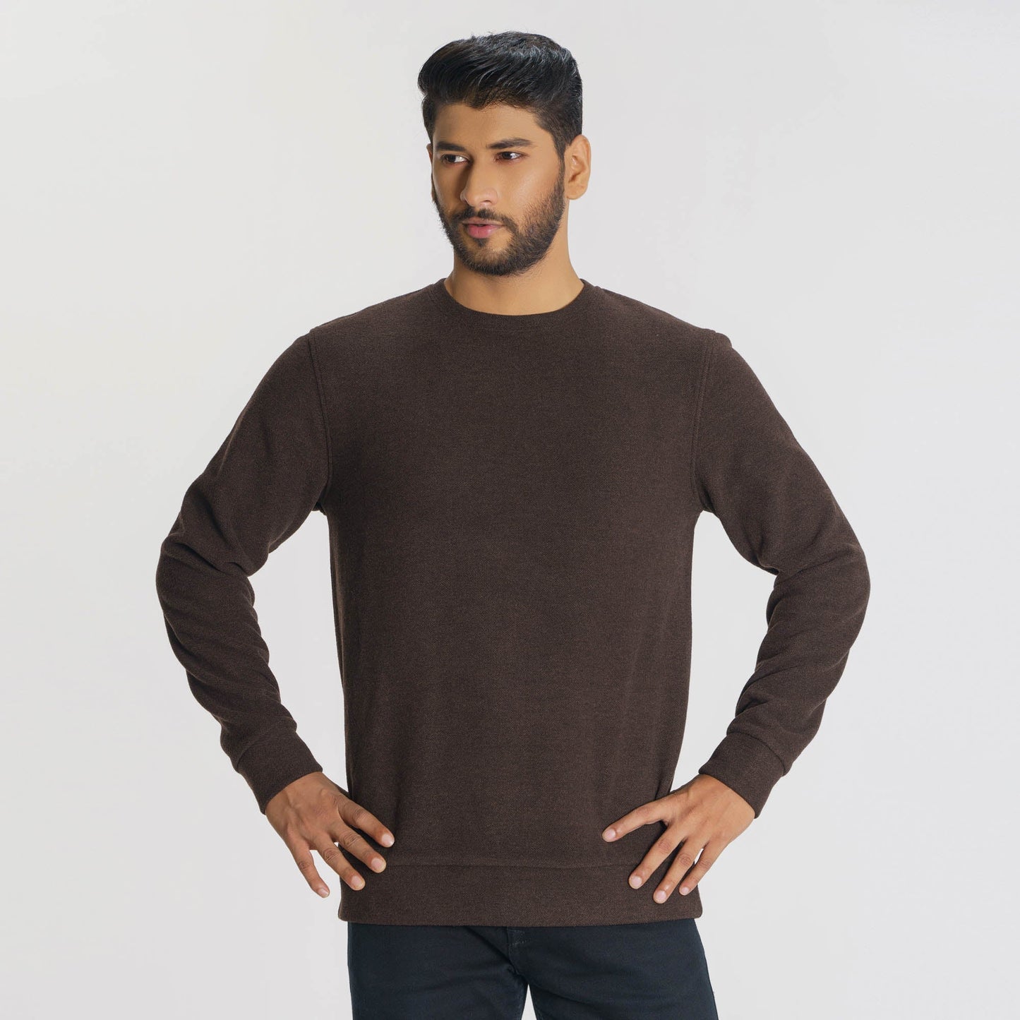 Mens Brown Sweatshirt