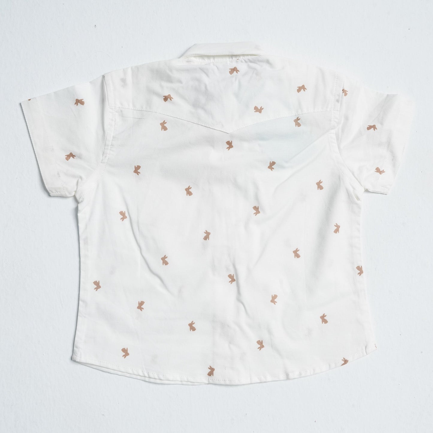 Newborn Cotton Two Piece Set
