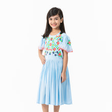 Load image into Gallery viewer, Girls Sky Blue Embroidered Frock
