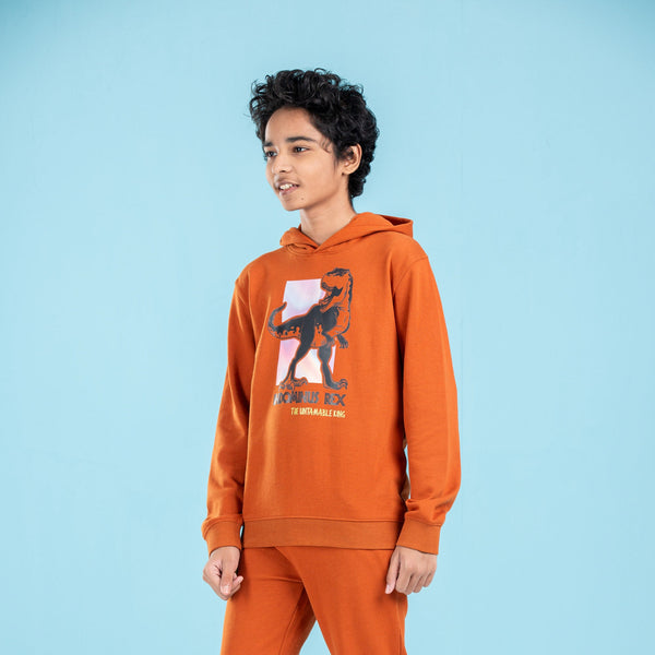 BOYS HOODIE- BROWN