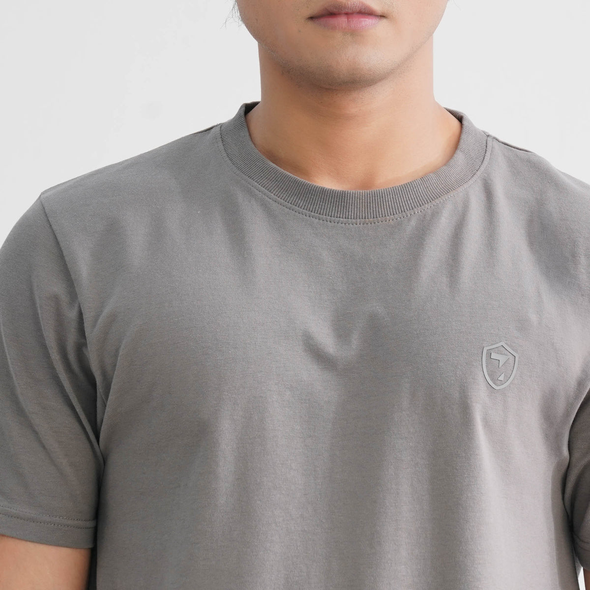 Mens Grey T-Shirt